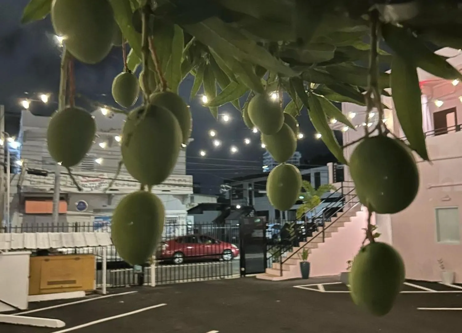 Room 3 Vibrant Walkable Hub In Santurce サンジョアン ホテル
